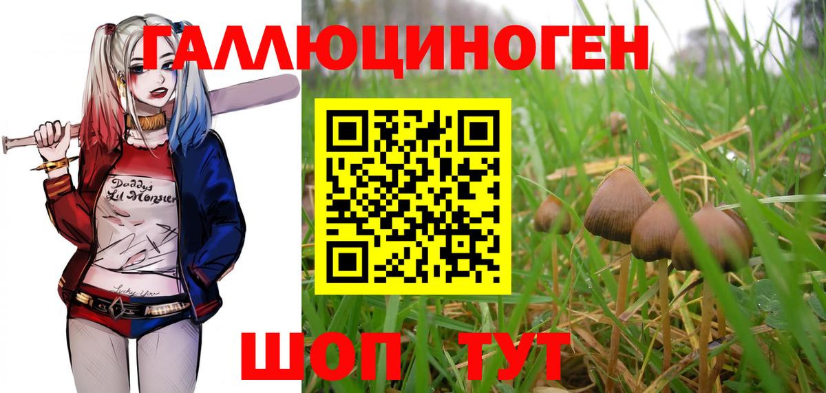 Сарапул  Псилоцибиновые грибы Psilocybe  Вход с VPN 